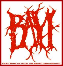 Bayi : Five Years of Hate: The Select Discography